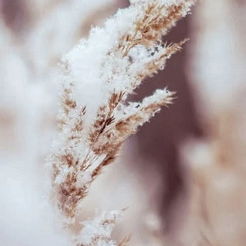 ΧΗΜΙΚΟ PEELING